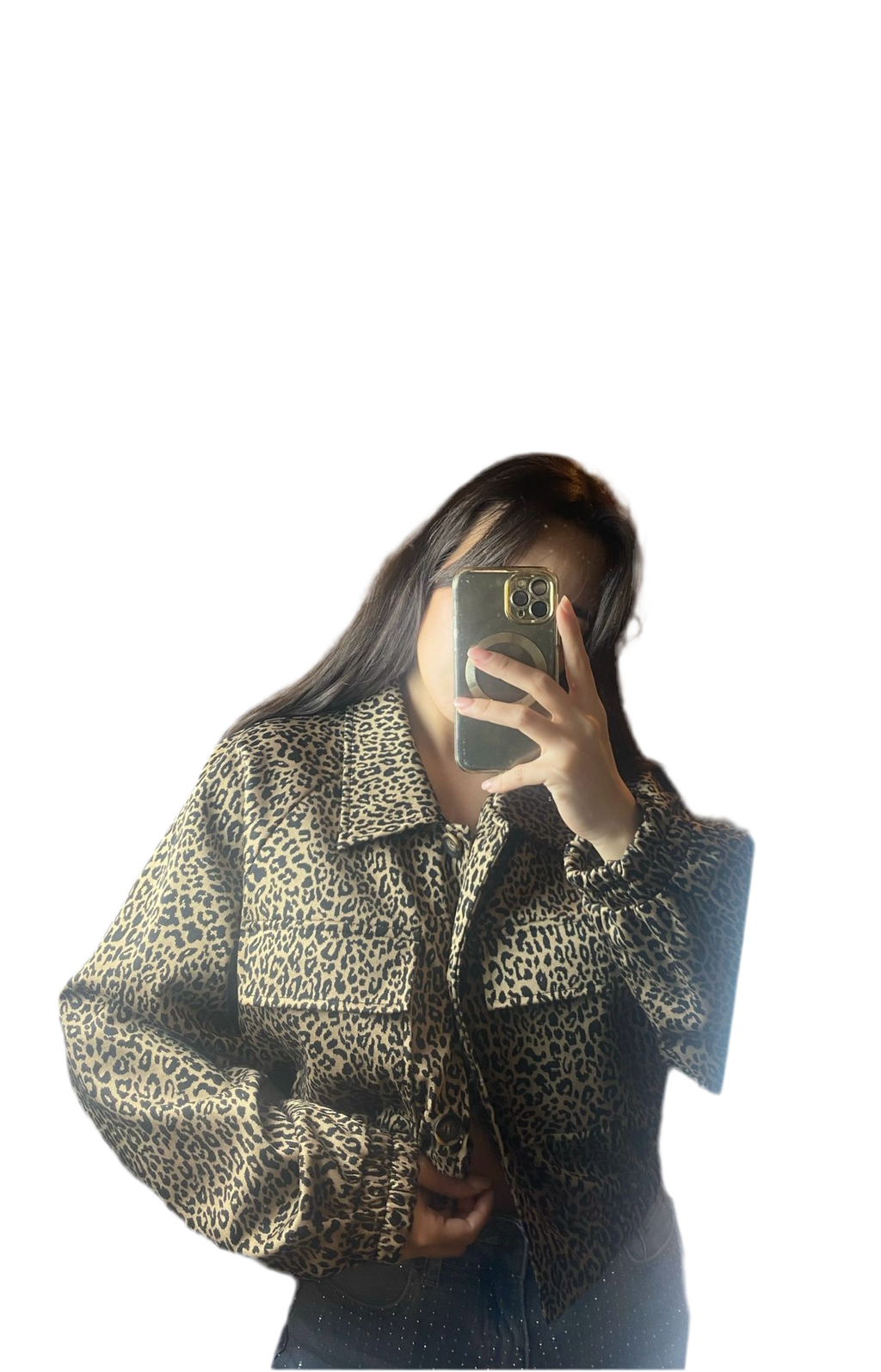 Bomber Leopard