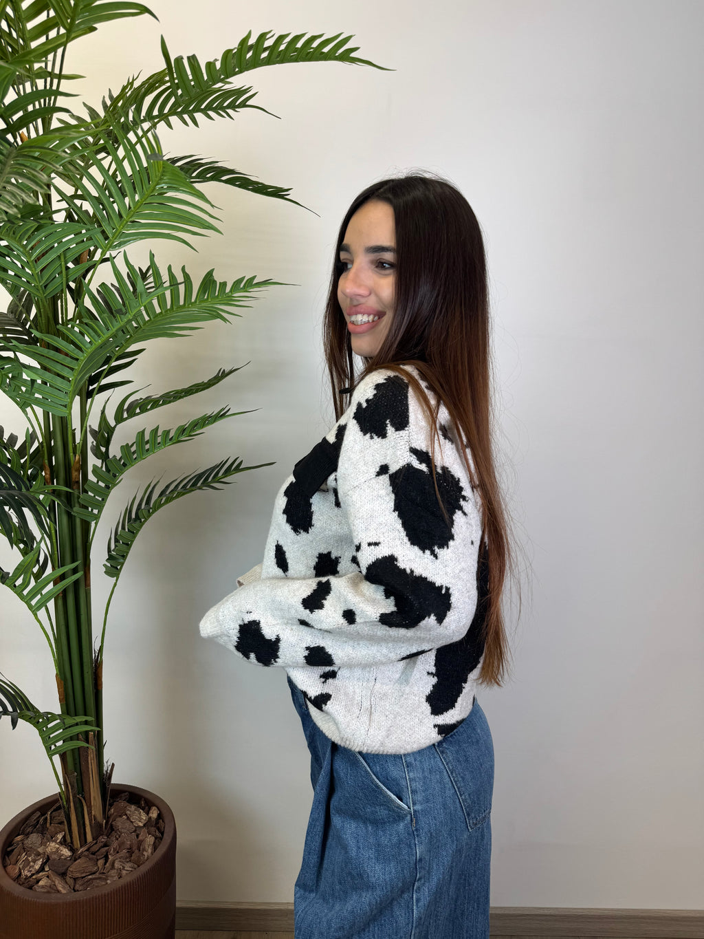 CARDIGAN COW